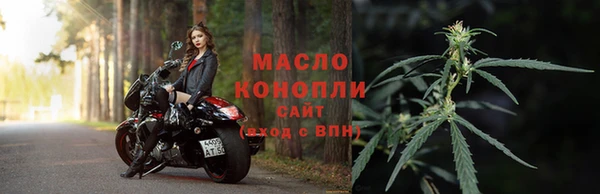 СК Алексин