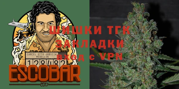 СК Алексин