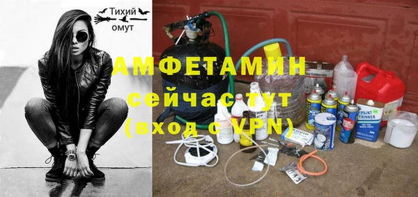 СК Алексин