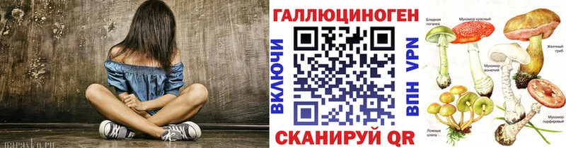 наркотики  Лахденпохья  Галлюциногенные грибы Psilocybe 